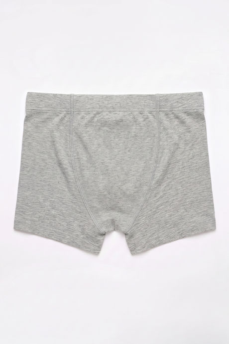 Lee Cooper Boys Solid Trunk (Pack of 3) - Multicolor — image 11
